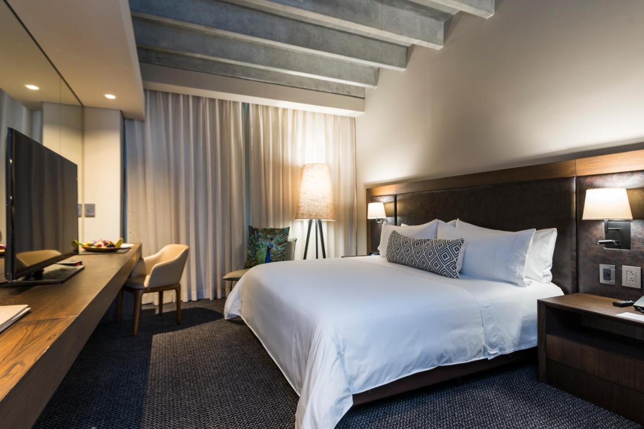 拉斯洛马斯莫维奇酒店 里奥内格罗 外观 照片 A room at the hotel